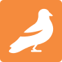 Wood Pigeon Areas Icon