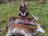 2 cull hinds 